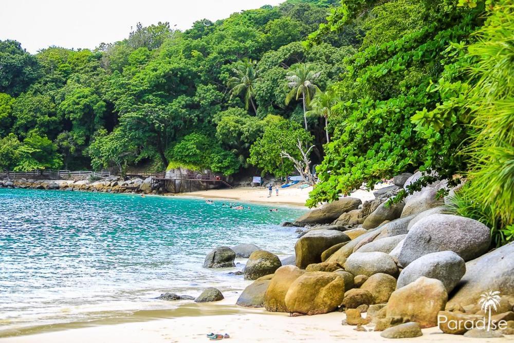 Paradise Beach Backpackers Hostel Patong Εξωτερικό φωτογραφία