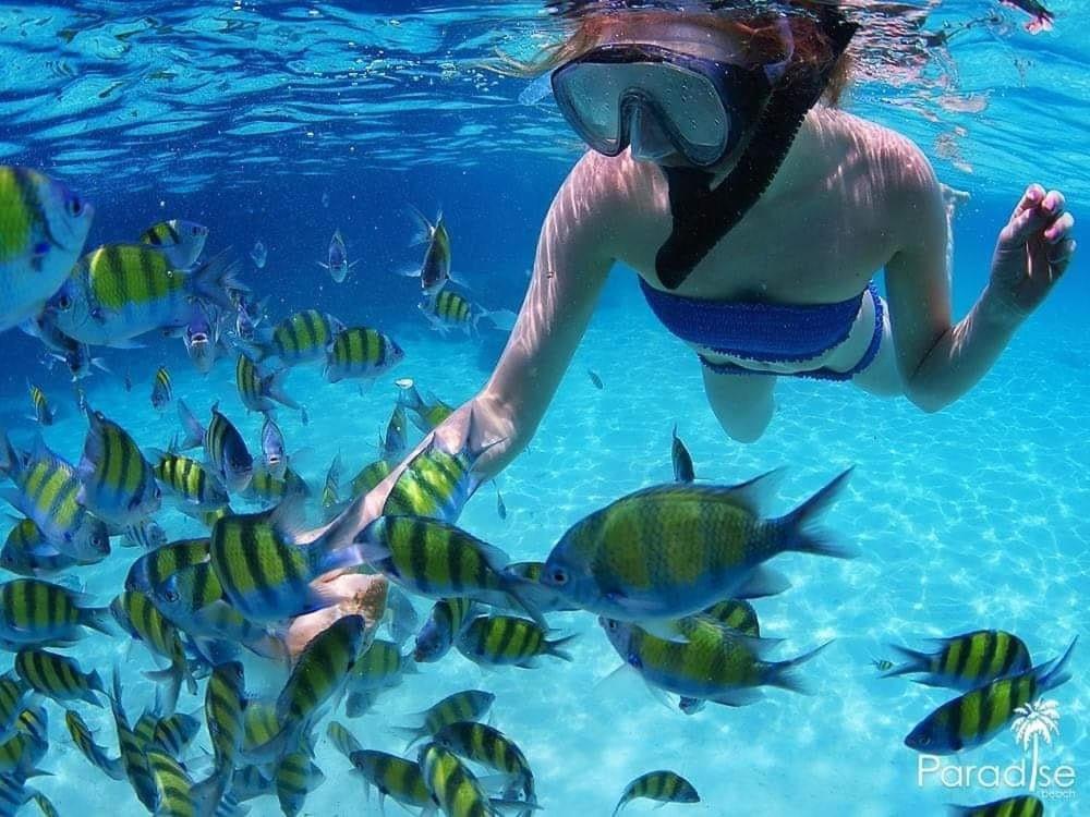 Paradise Beach Backpackers Hostel Patong Εξωτερικό φωτογραφία