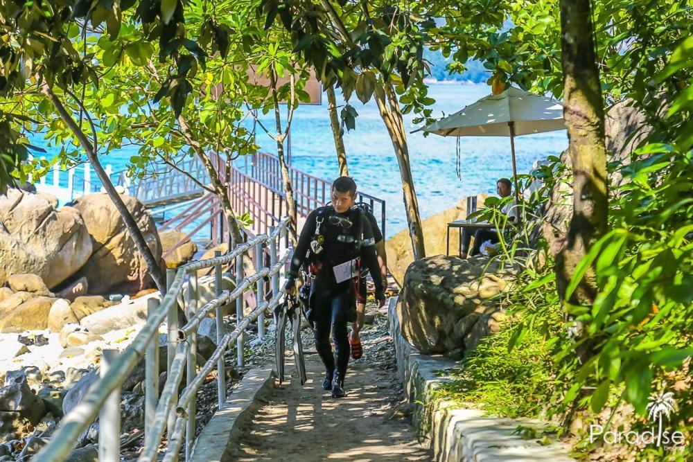 Paradise Beach Backpackers Hostel Patong Εξωτερικό φωτογραφία